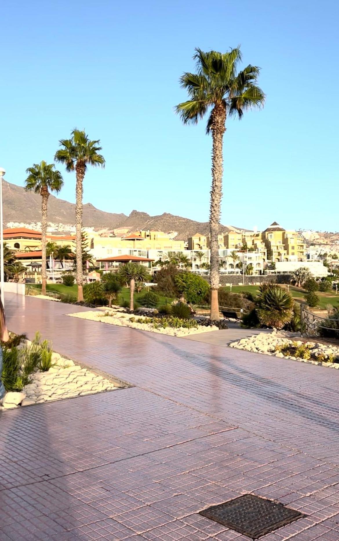 Lovely Sunny Apartment Costa Adeje  Exterior photo